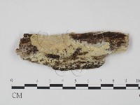 登錄號:F0022194藏品圖，第1張