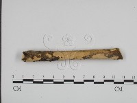 登錄號:F0022195藏品圖，第1張