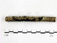 登錄號:F0022197藏品圖，第3張