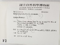 刺革菌屬藏品圖，第2張