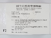 筍殼菌屬藏品圖，第2張