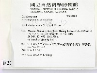 登錄號:F0022200藏品圖，第2張