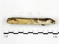 登錄號:F0022200藏品圖，第1張