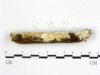 登錄號:F0022200藏品圖，第3張