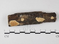 登錄號:F0022201藏品圖，第1張