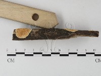 登錄號:F0022201藏品圖，第3張