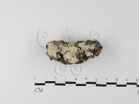 登錄號:F0022202藏品圖，第1張