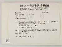 登錄號:F0022203藏品圖，第2張