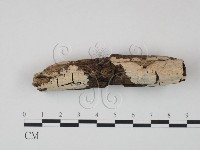 登錄號:F0022203藏品圖，第1張