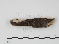 登錄號:F0022203藏品圖，第3張