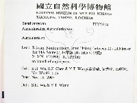 木耳屬藏品圖，第2張