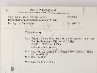 登錄號:F0022205藏品圖，第2張