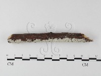 登錄號:F0022205藏品圖，第3張