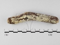 登錄號:F0022206藏品圖，第1張