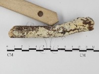 登錄號:F0022206藏品圖，第3張