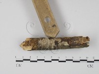 登錄號:F0022208藏品圖，第3張