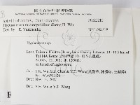 登錄號:F0022210藏品圖，第2張