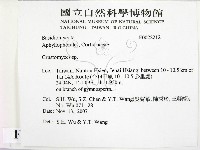 登錄號:F0022212藏品圖，第2張