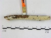 登錄號:F0022212藏品圖，第3張