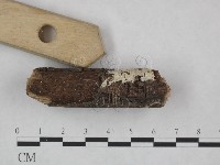 登錄號:F0022213藏品圖，第3張