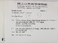 登錄號:F0022214藏品圖，第2張