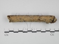 登錄號:F0022214藏品圖，第1張