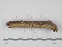 登錄號:F0022214藏品圖，第3張