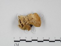 登錄號:F0022215藏品圖，第1張