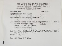 登錄號:F0022216藏品圖，第2張