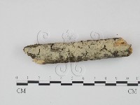 登錄號:F0022216藏品圖，第1張