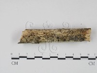 登錄號:F0022216藏品圖，第3張