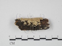 登錄號:F0022218藏品圖，第1張