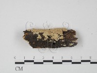 登錄號:F0022218藏品圖，第3張