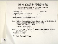 登錄號:F0022219藏品圖，第2張