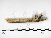 登錄號:F0022219藏品圖，第3張