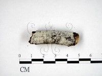 登錄號:F0022220藏品圖，第1張