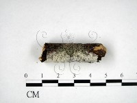 登錄號:F0022220藏品圖，第3張