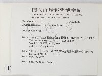 刺革菌屬藏品圖，第2張