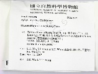 登錄號:F0022225藏品圖，第2張