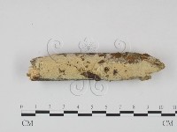 登錄號:F0022226藏品圖，第1張