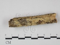 登錄號:F0022228藏品圖，第1張