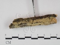 登錄號:F0022228藏品圖，第3張