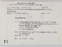 登錄號:F0022229藏品圖，第2張