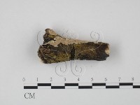 登錄號:F0022232藏品圖，第3張