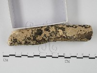 登錄號:F0022235藏品圖，第3張