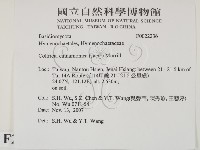 登錄號:F0022236藏品圖，第2張