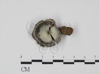 登錄號:F0022236藏品圖，第1張