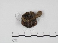 登錄號:F0022236藏品圖，第3張