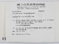 登錄號:F0022237藏品圖，第2張
