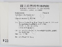雲芝藏品圖，第2張